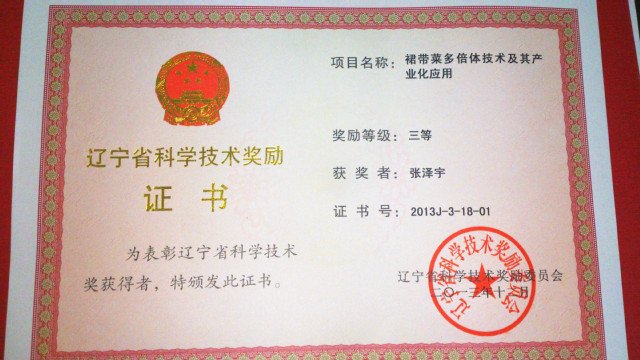 scxy@dlou.edu.cn