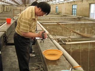 姜志强教授获全国优秀教师荣誉称号 |
