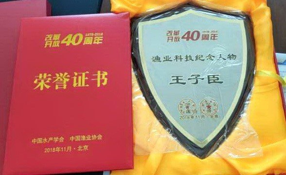 栏目用于追新