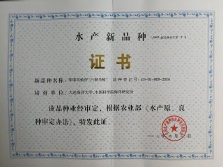 0411-84762692
