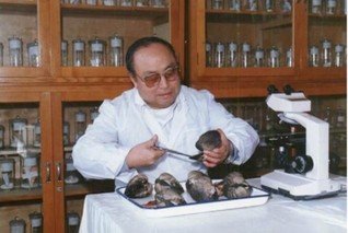 若需了解「九游官方网站官网正规渠道」