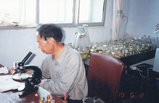 栏目用于追新