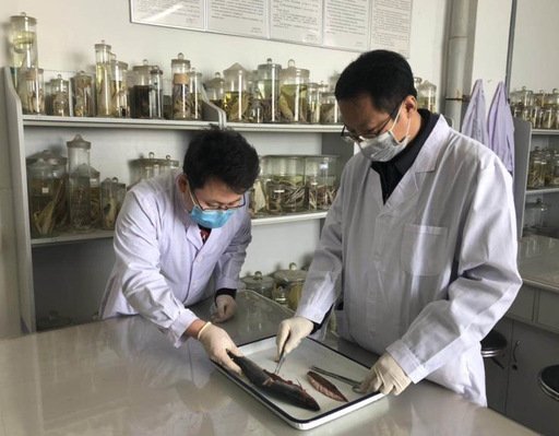 510 对照阅读