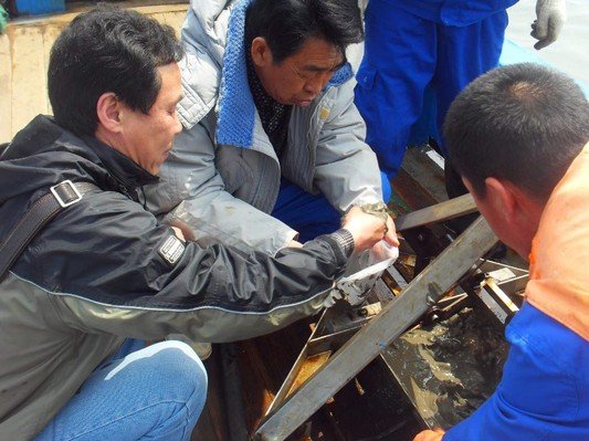 大连市首批最美科技工作者