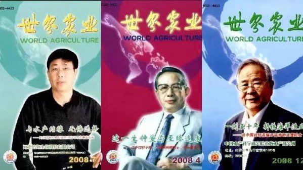 高级工程师