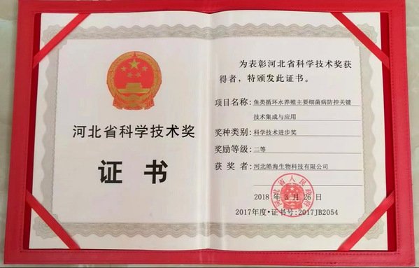对照阅读1963年10月出生