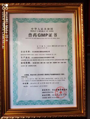 硕士研究生