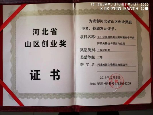 824 对照阅读