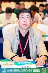 栏目用于追新